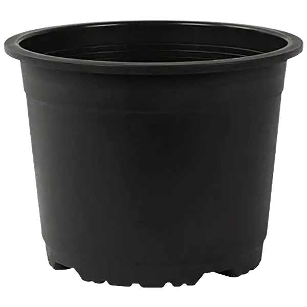 Black pot 12 inch