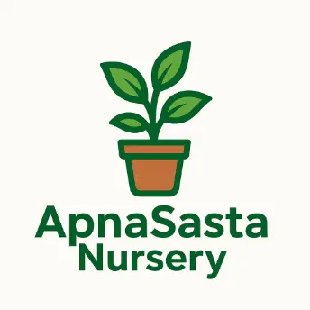 ApnaSastaNursery